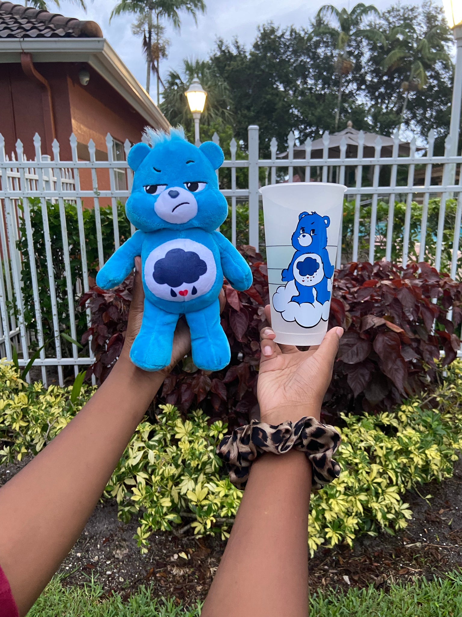 Grumpy Bear Cup and Stuffed Care Bear - HPK Personalized Products and more