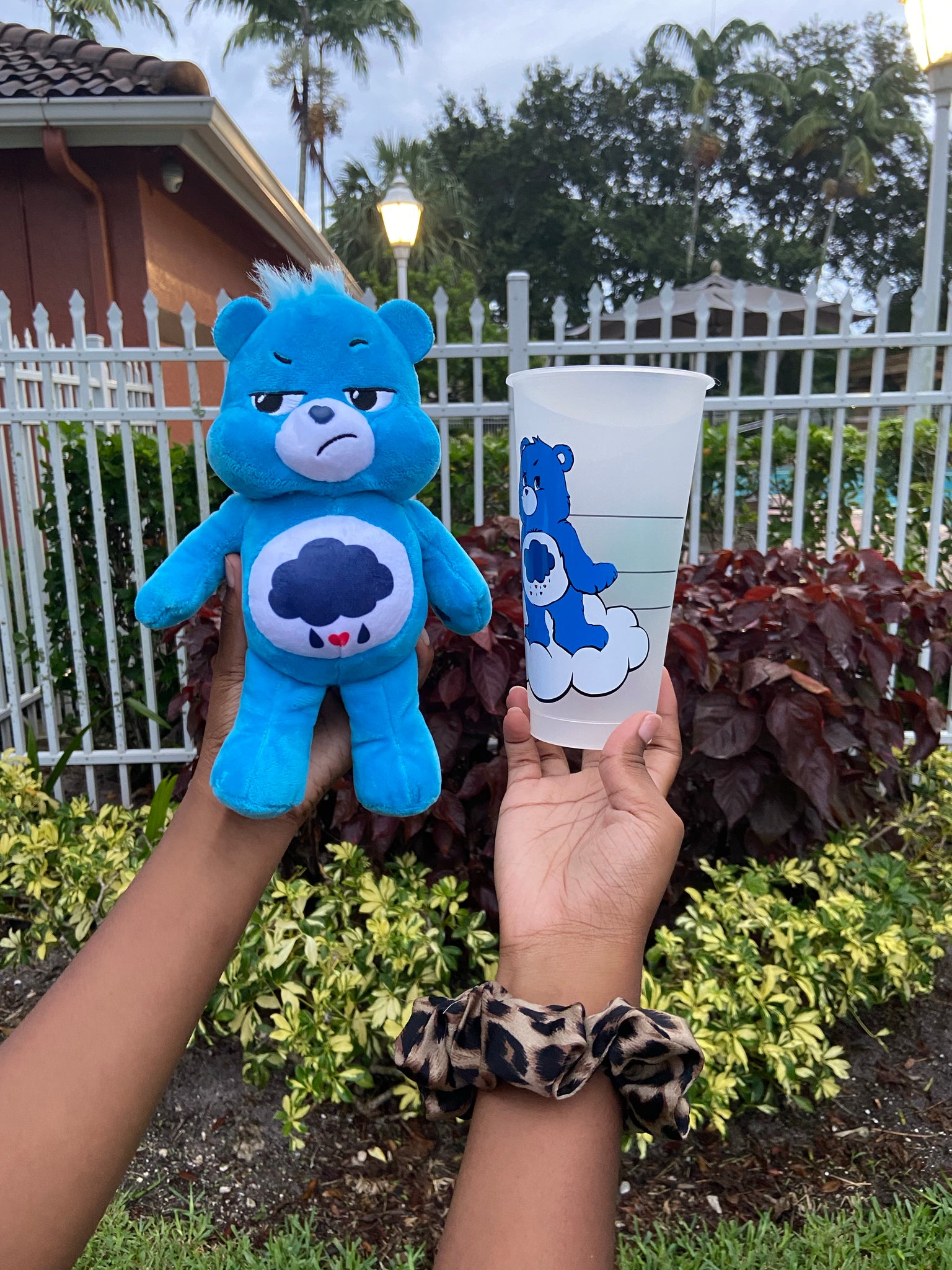Grumpy Bear Cup and Stuffed Care Bear - HPK Personalized Products and more